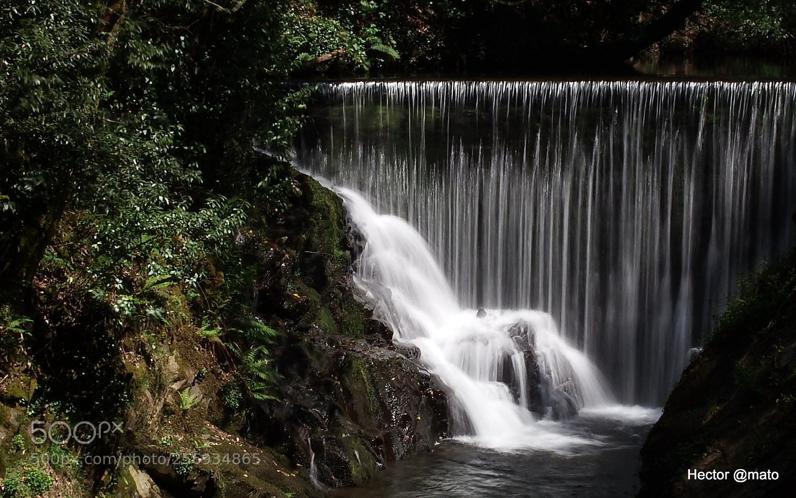 Fujifilm FinePix S1 sample photo. Agua photography