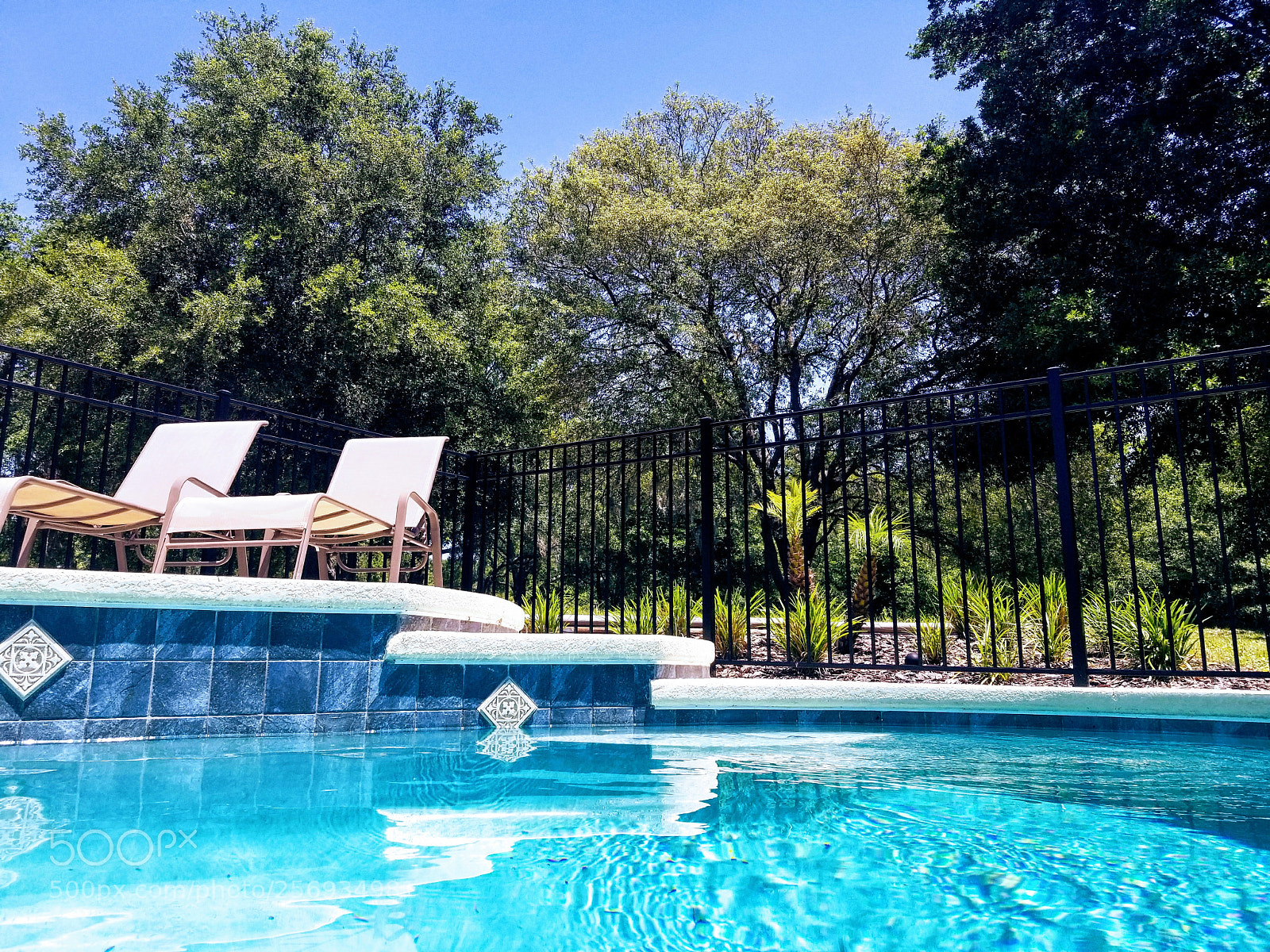 Samsung Galaxy S8 sample photo. Florida poolside photography