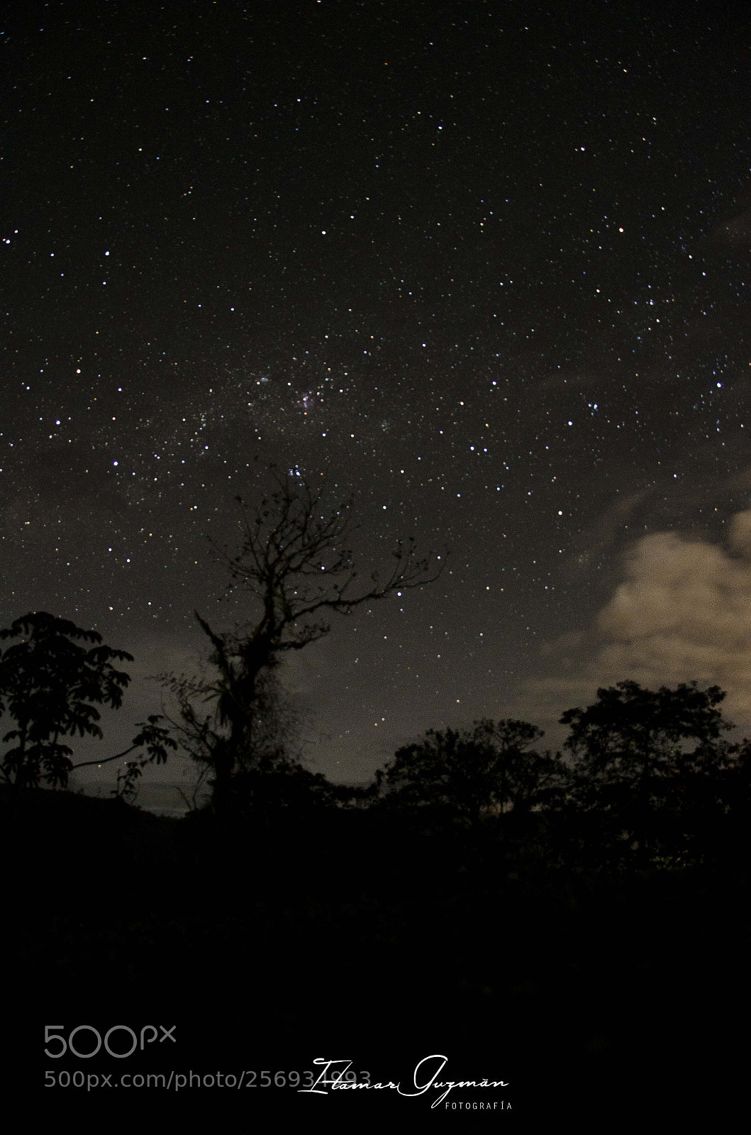 Nikon D7000 sample photo. Estrelllas photography