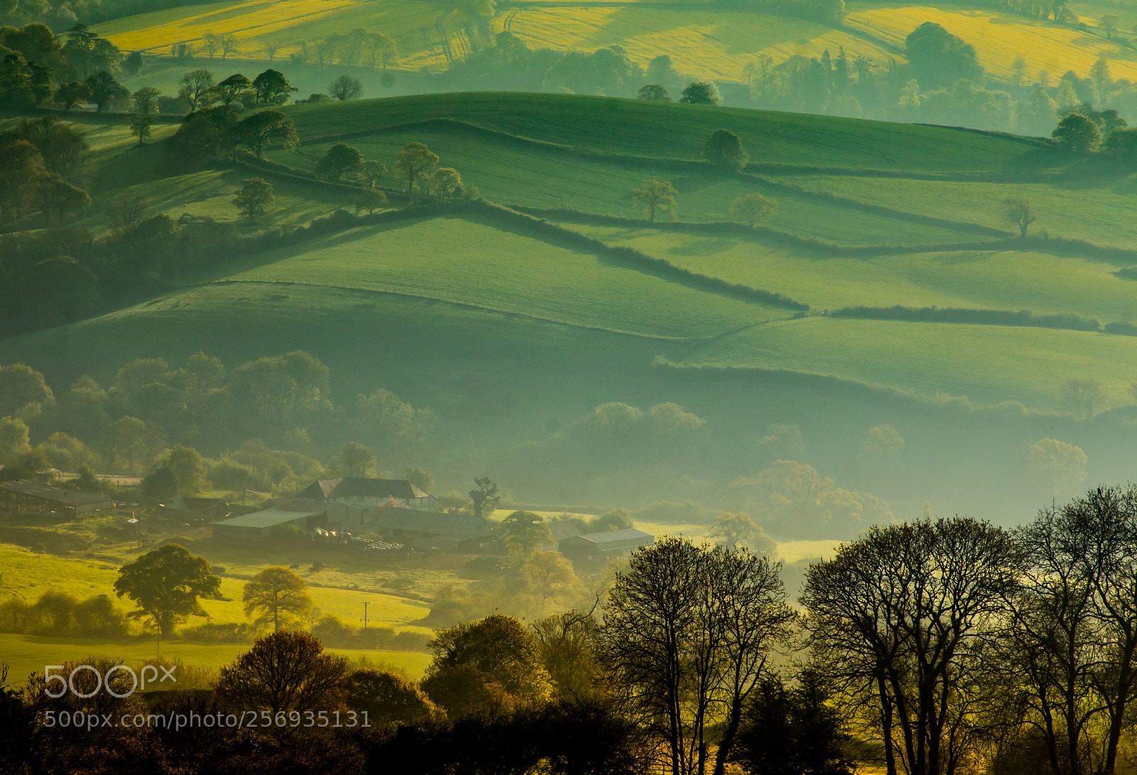 Canon EOS 70D sample photo. Morning light in a photography