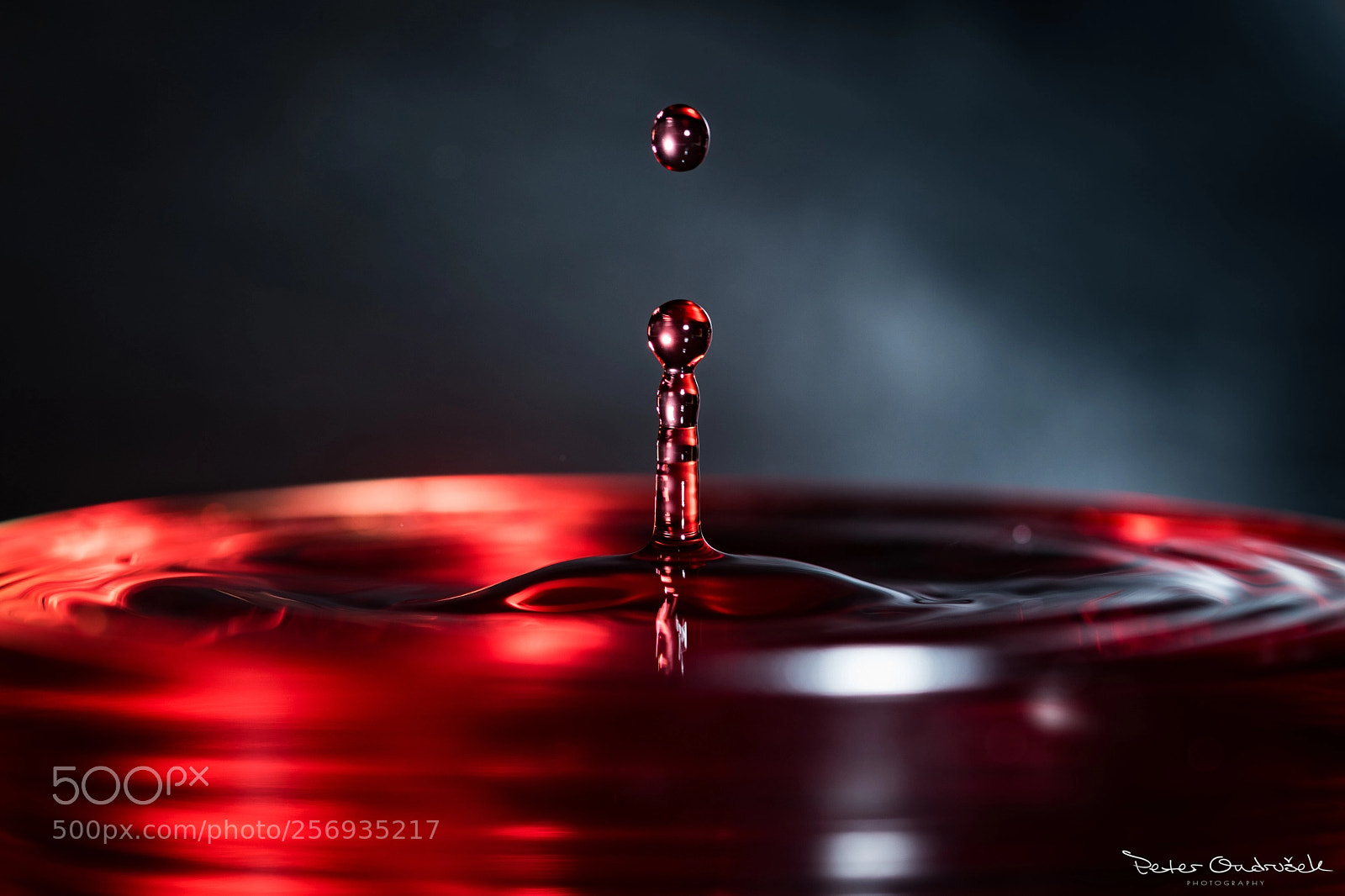 Nikon D850 sample photo. Water drop photography