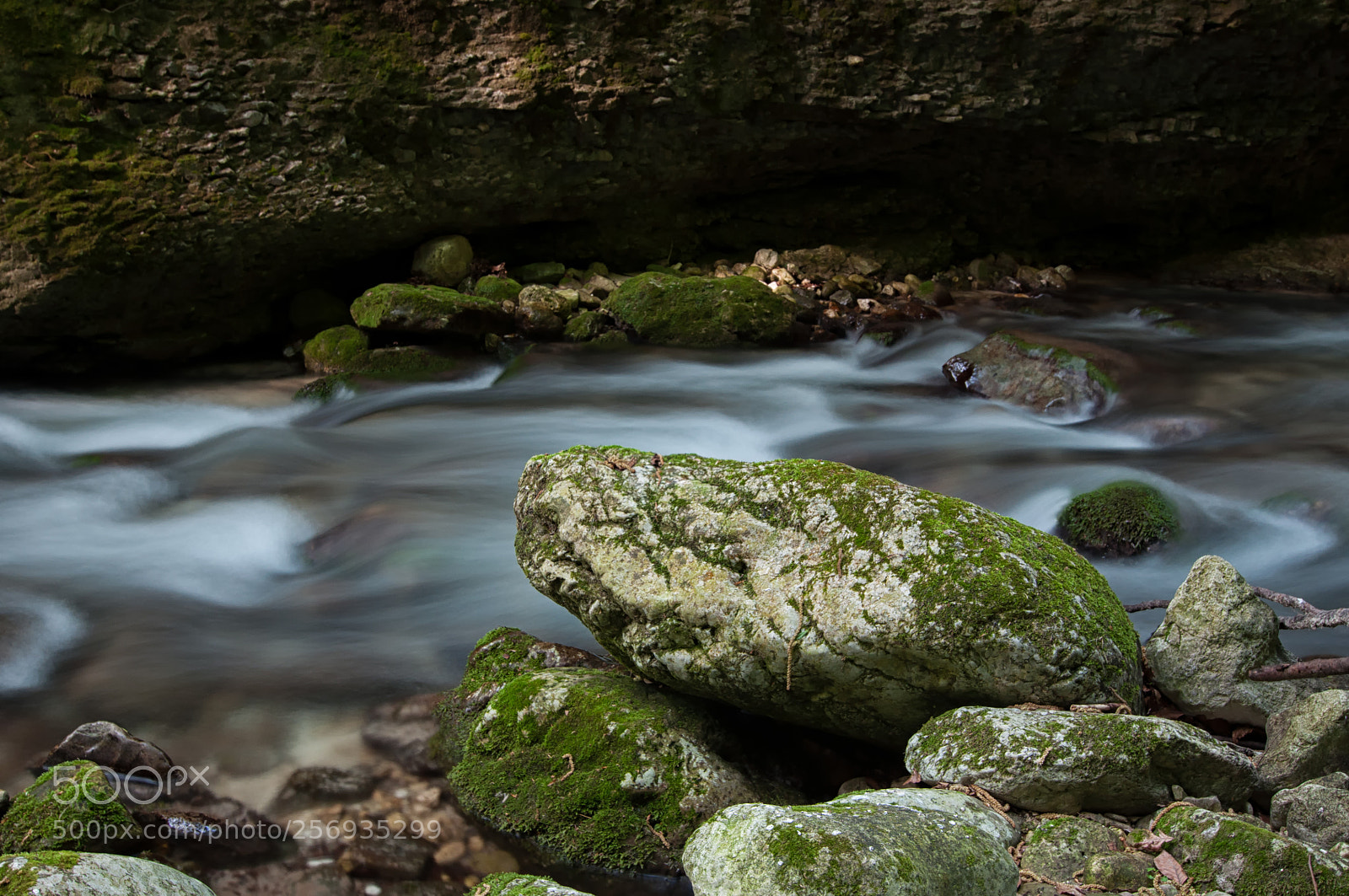 Nikon D90 sample photo. Particular of valle dell'orfento photography