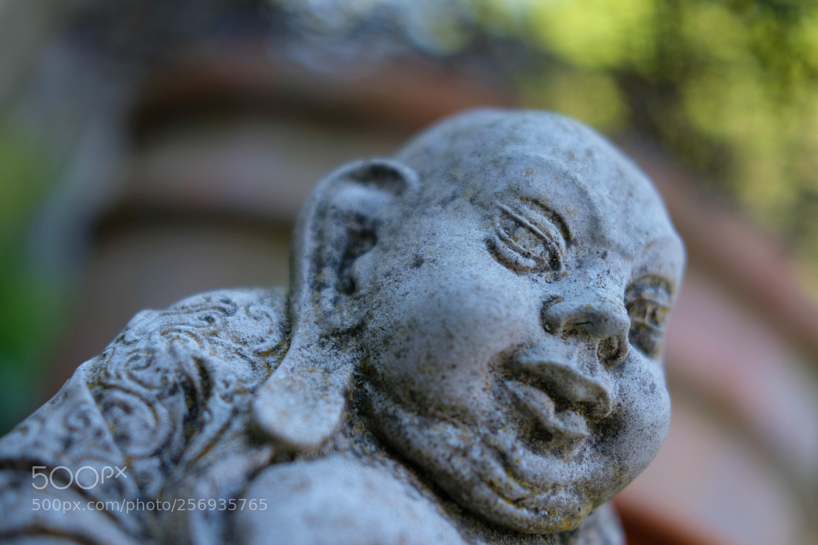 Fujifilm X-T2 sample photo. Teach me sage photography