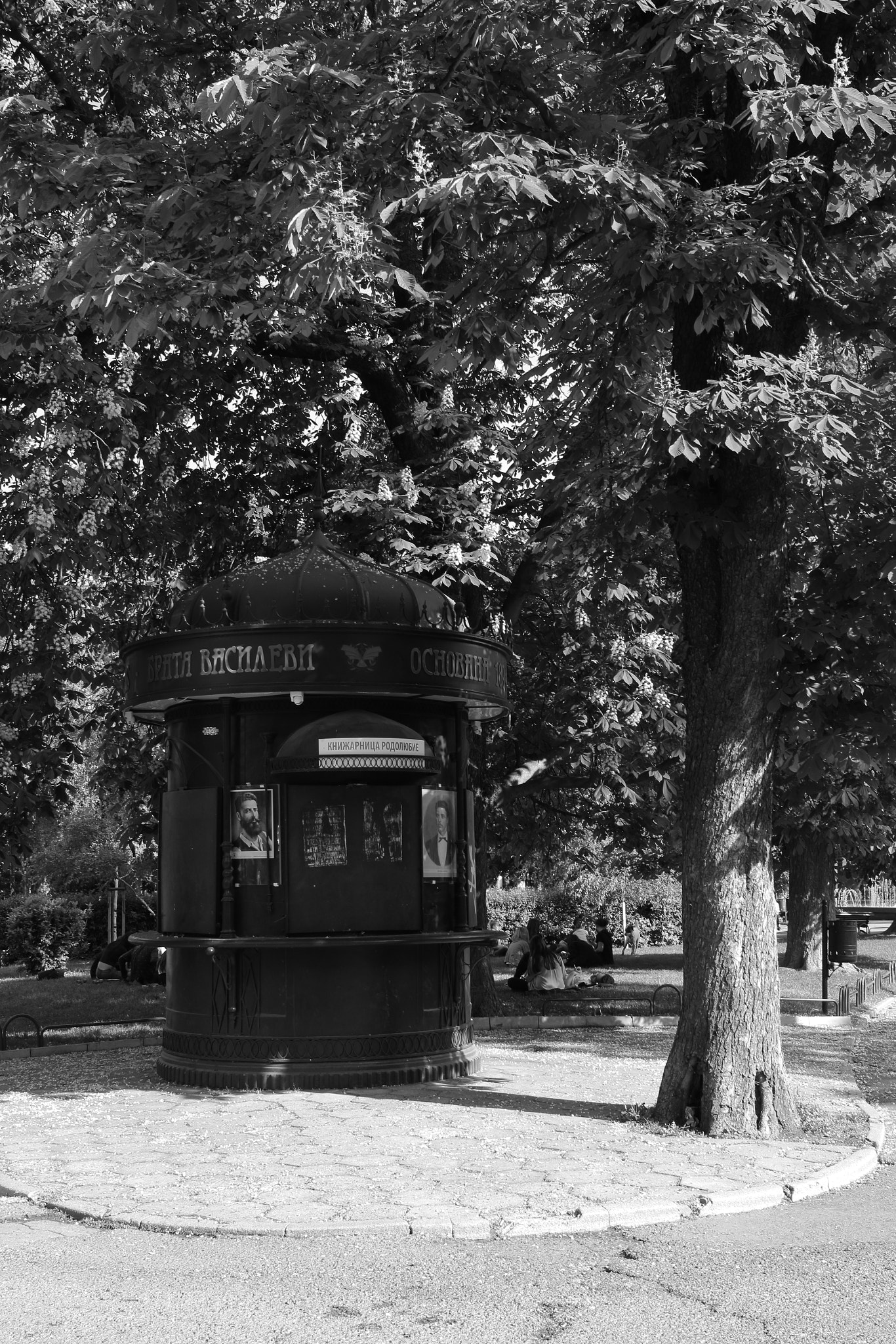 Canon EF-S 24mm F2.8 STM sample photo. The bookshop photography