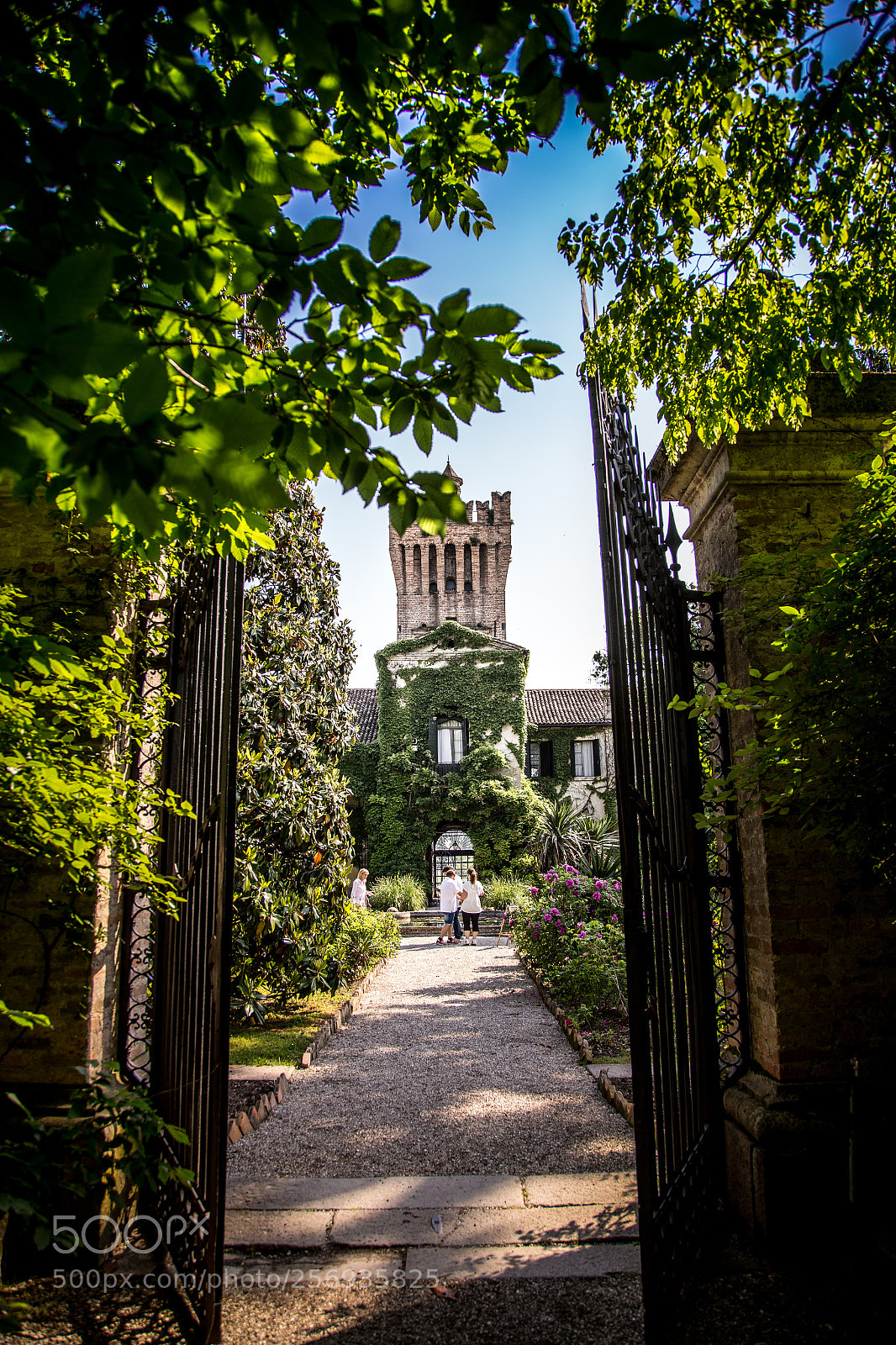 Canon EOS 6D sample photo. Museo dell'aria san pelagio photography