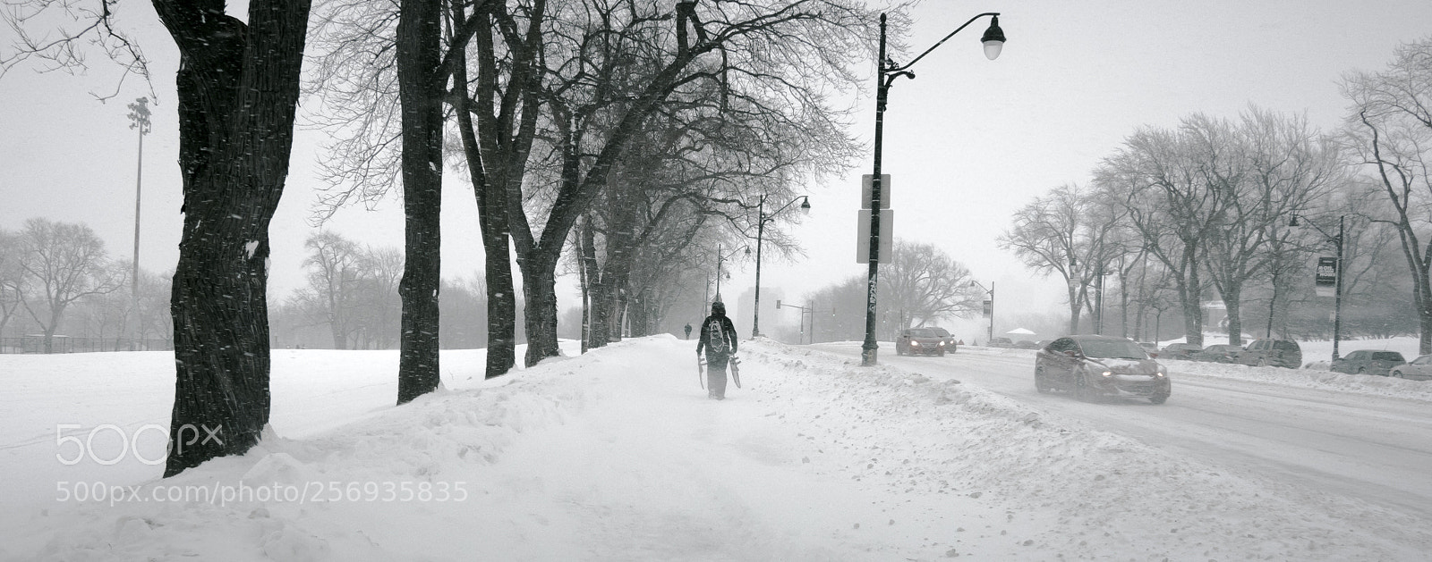 Canon EOS 60D sample photo. Montreal winter photography