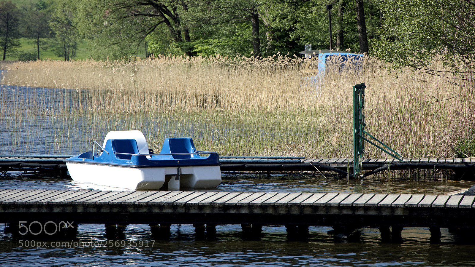 Nikon D3200 sample photo. Ready for summer photography