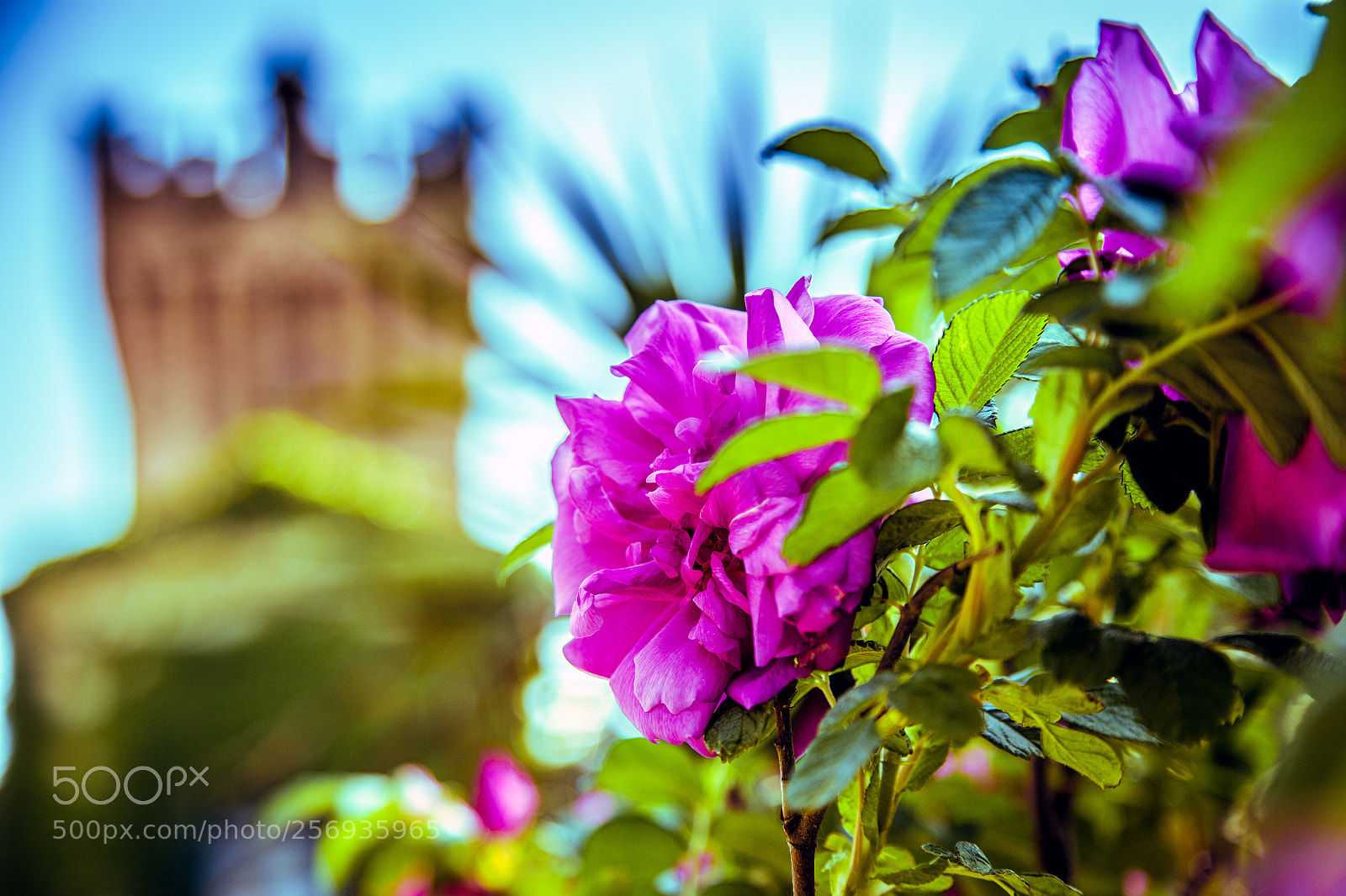 Canon EOS 6D sample photo. Museo dell'aria san pelagio photography
