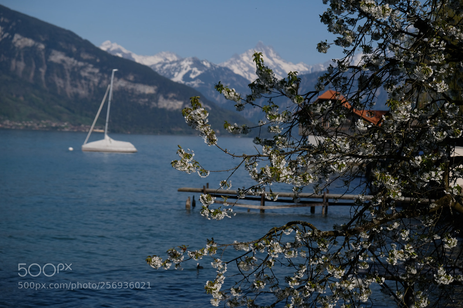 Fujifilm X-E3 sample photo. Blue photography