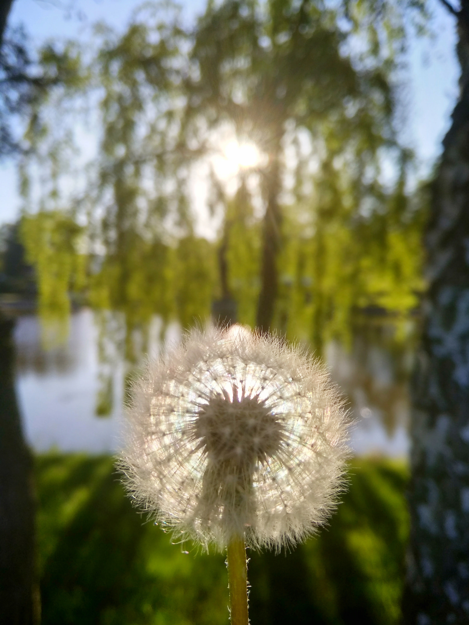 Xiaomi Redmi 5A sample photo. Sunset photography
