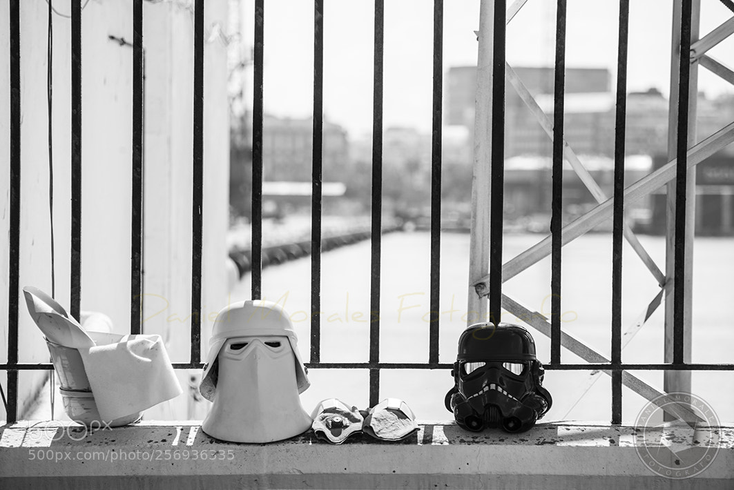 Nikon D610 sample photo. The preparations of the photography