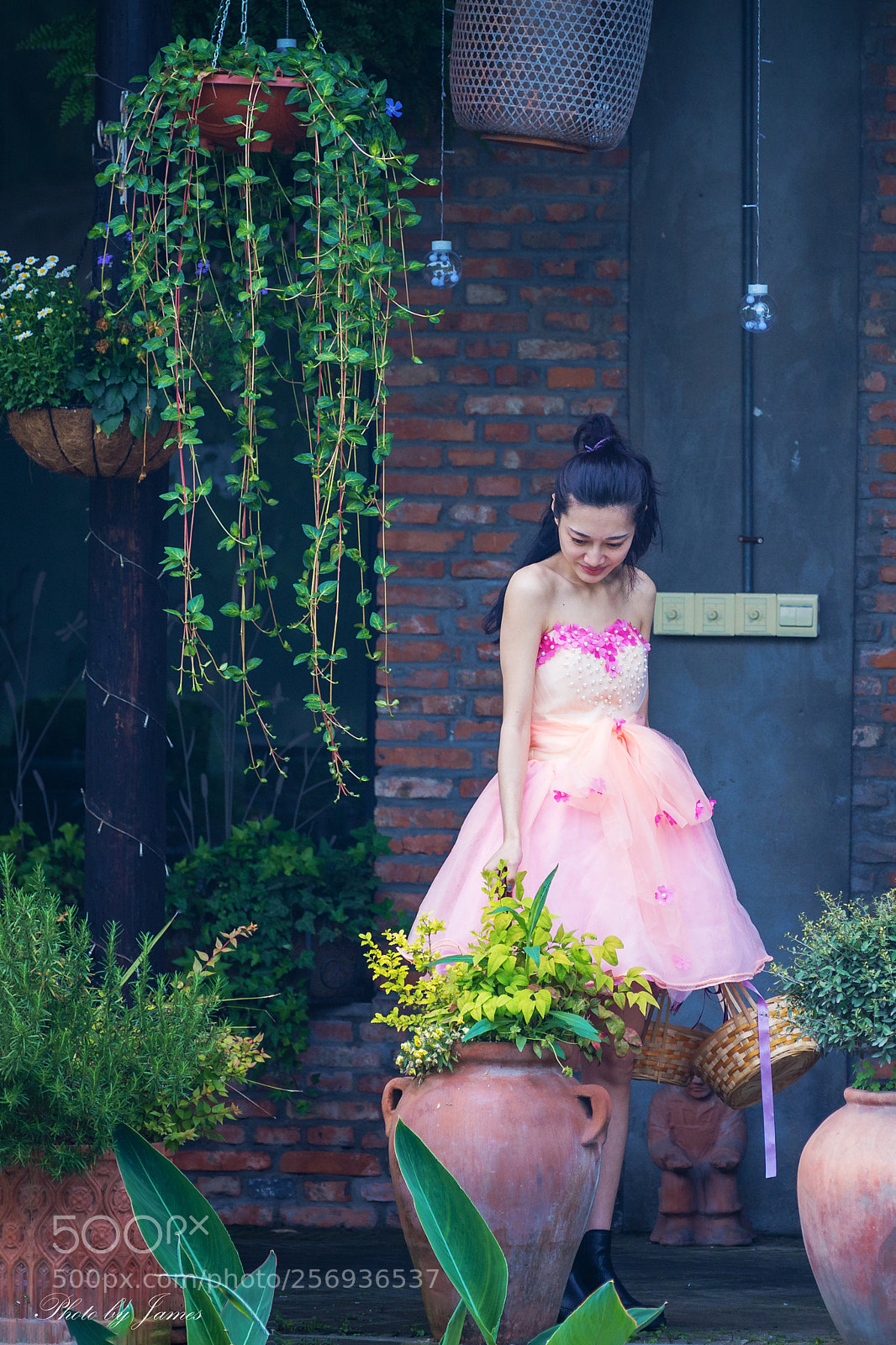 Canon EOS 60D sample photo. 初夏 photography