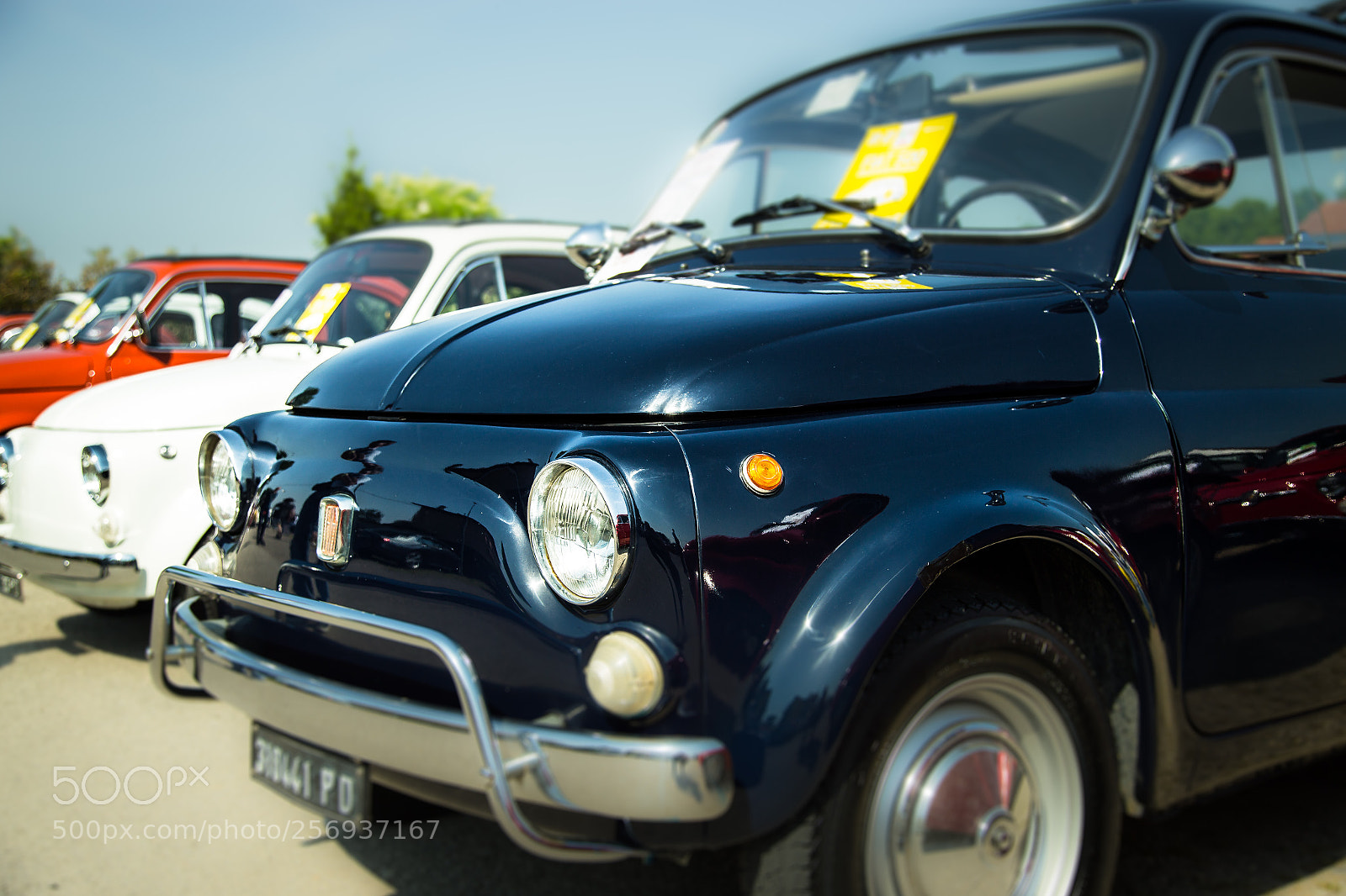 Canon EOS 6D sample photo. Raduno fiat 500 photography