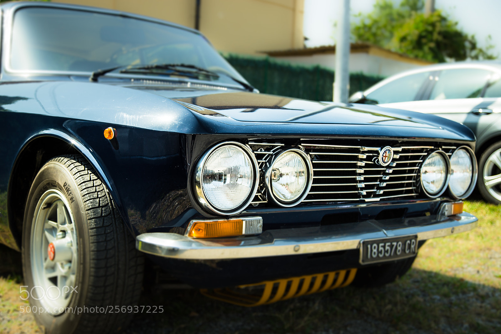 Canon EOS 6D sample photo. Raduno fiat 500 photography