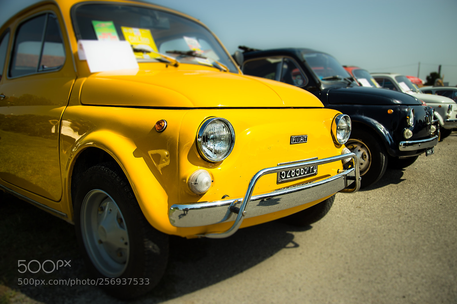 Canon EOS 6D sample photo. Raduno fiat 500 photography