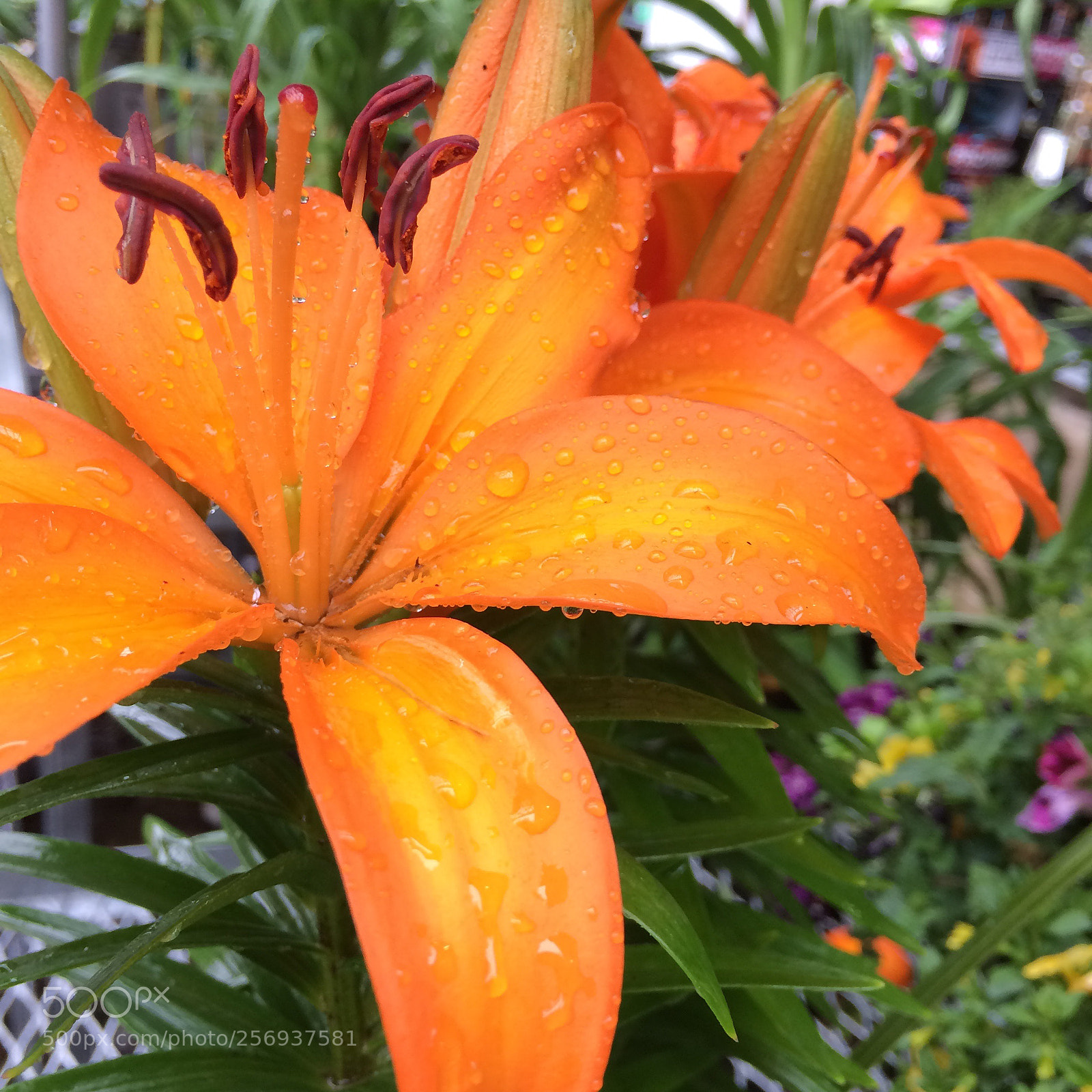 Apple iPhone 5s sample photo. Location shot/articulating space  photography