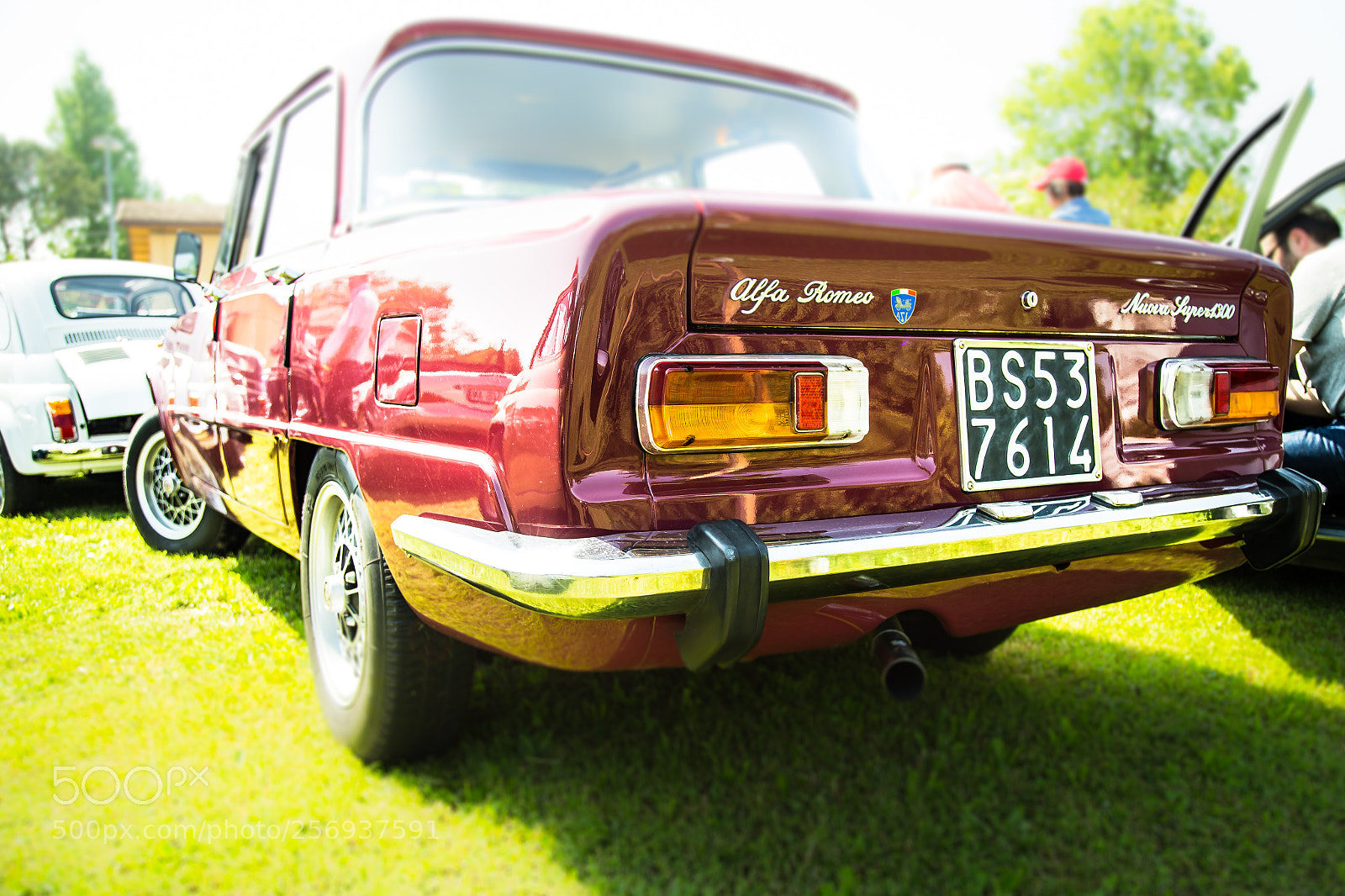 Canon EOS 6D sample photo. Alfa romeo giulia photography