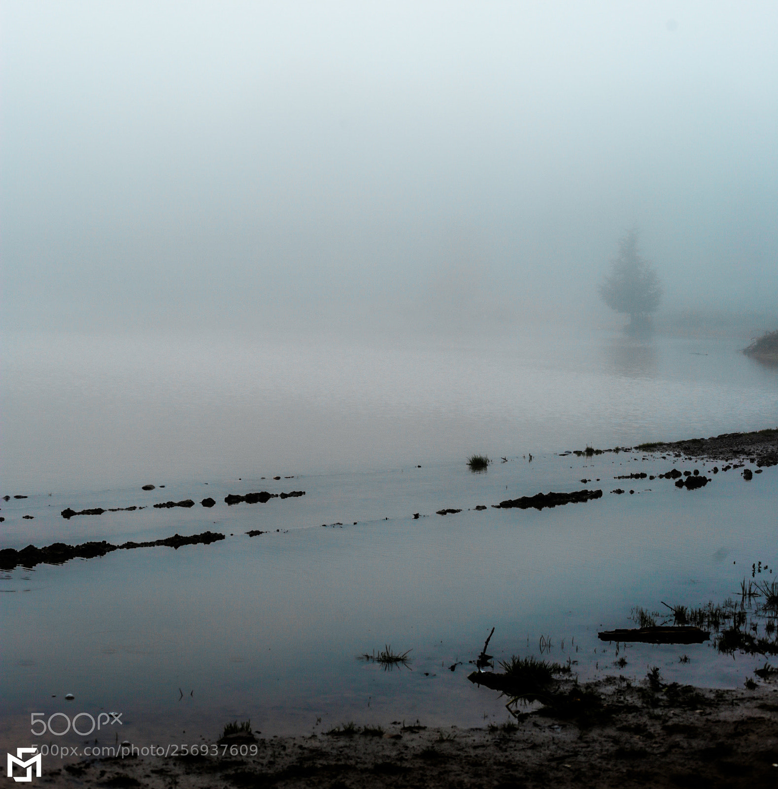 Canon EOS 6D sample photo. The nature stillness photography