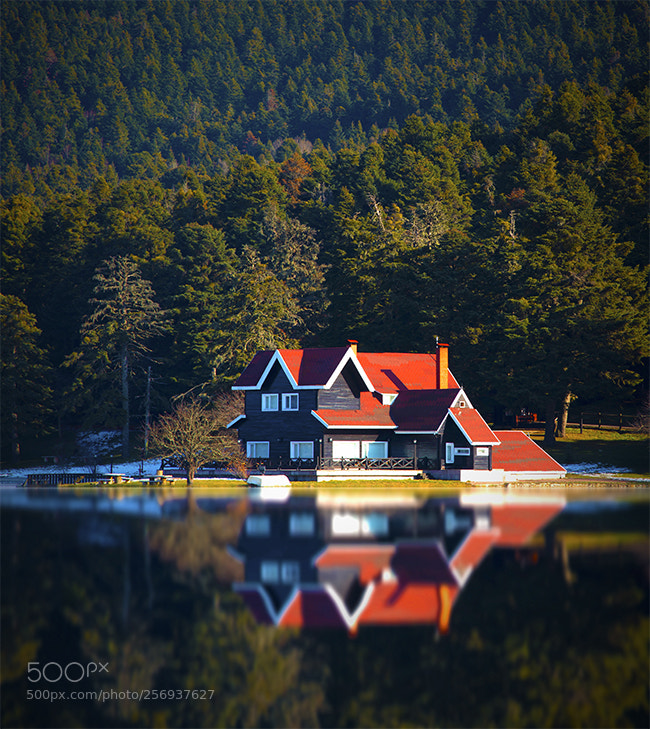 Canon EOS 6D sample photo. Red home photography