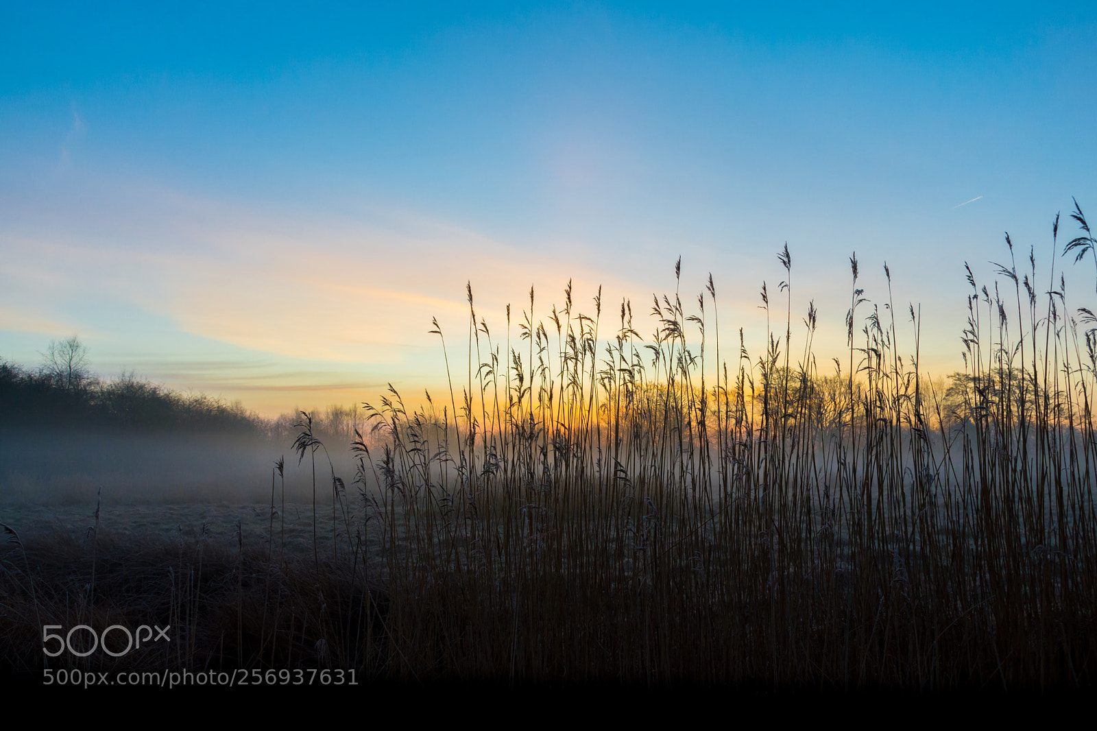 Nikon D7200 sample photo. Sunrise on a cold photography