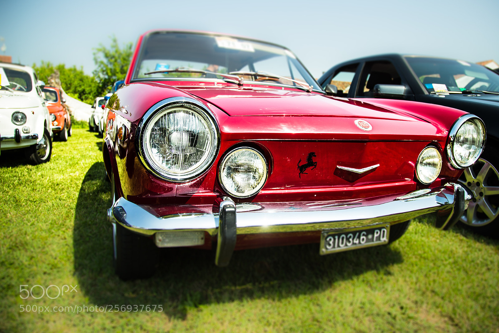 Canon EOS 6D sample photo. Raduno fiat 500 photography