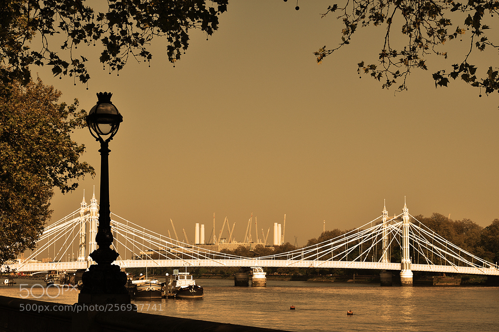 Nikon D3400 sample photo. Walk by the river photography