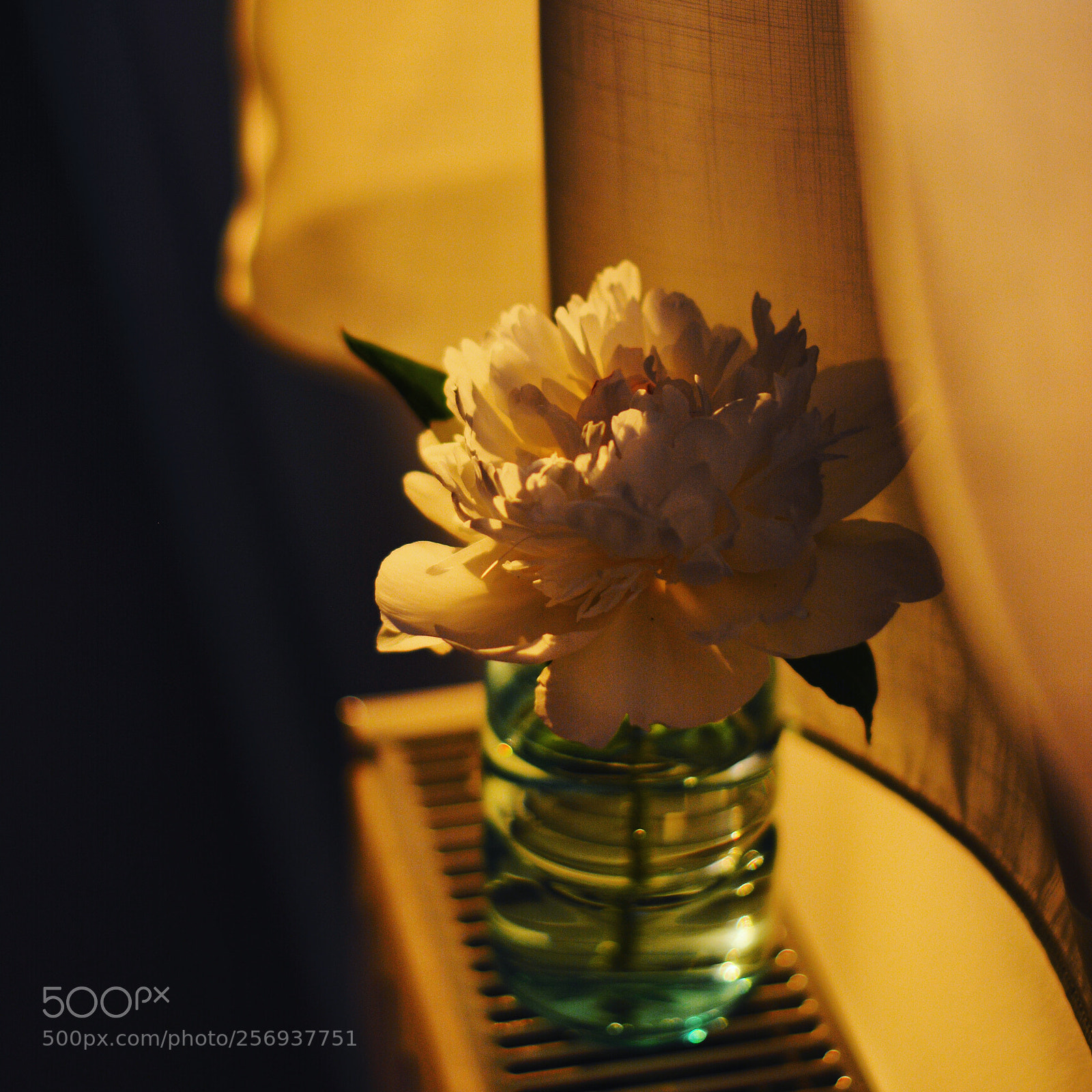 Nikon D5200 sample photo. This moment photography
