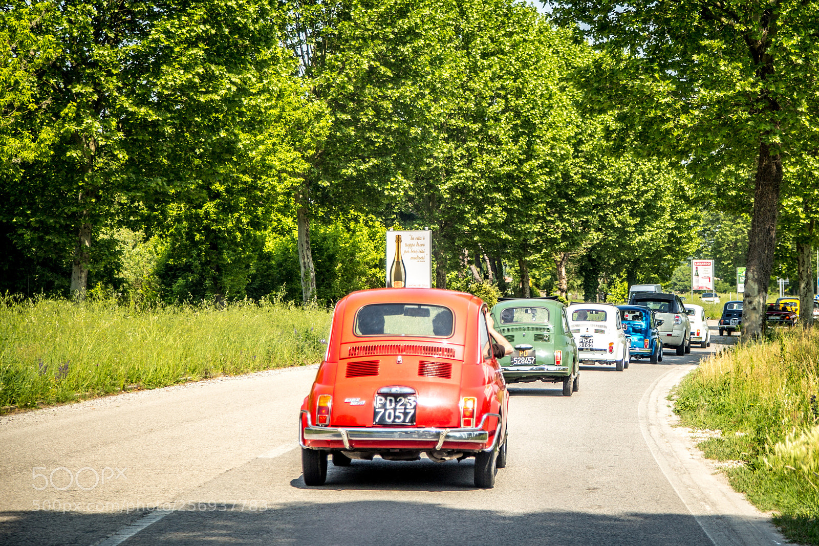 Canon EOS 6D sample photo. Raduno fiat 500 photography