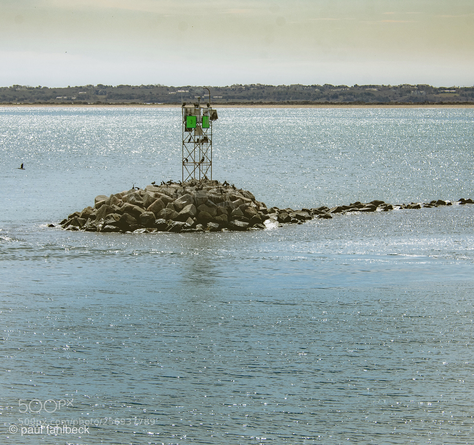 Nikon D7200 sample photo. 33 photography