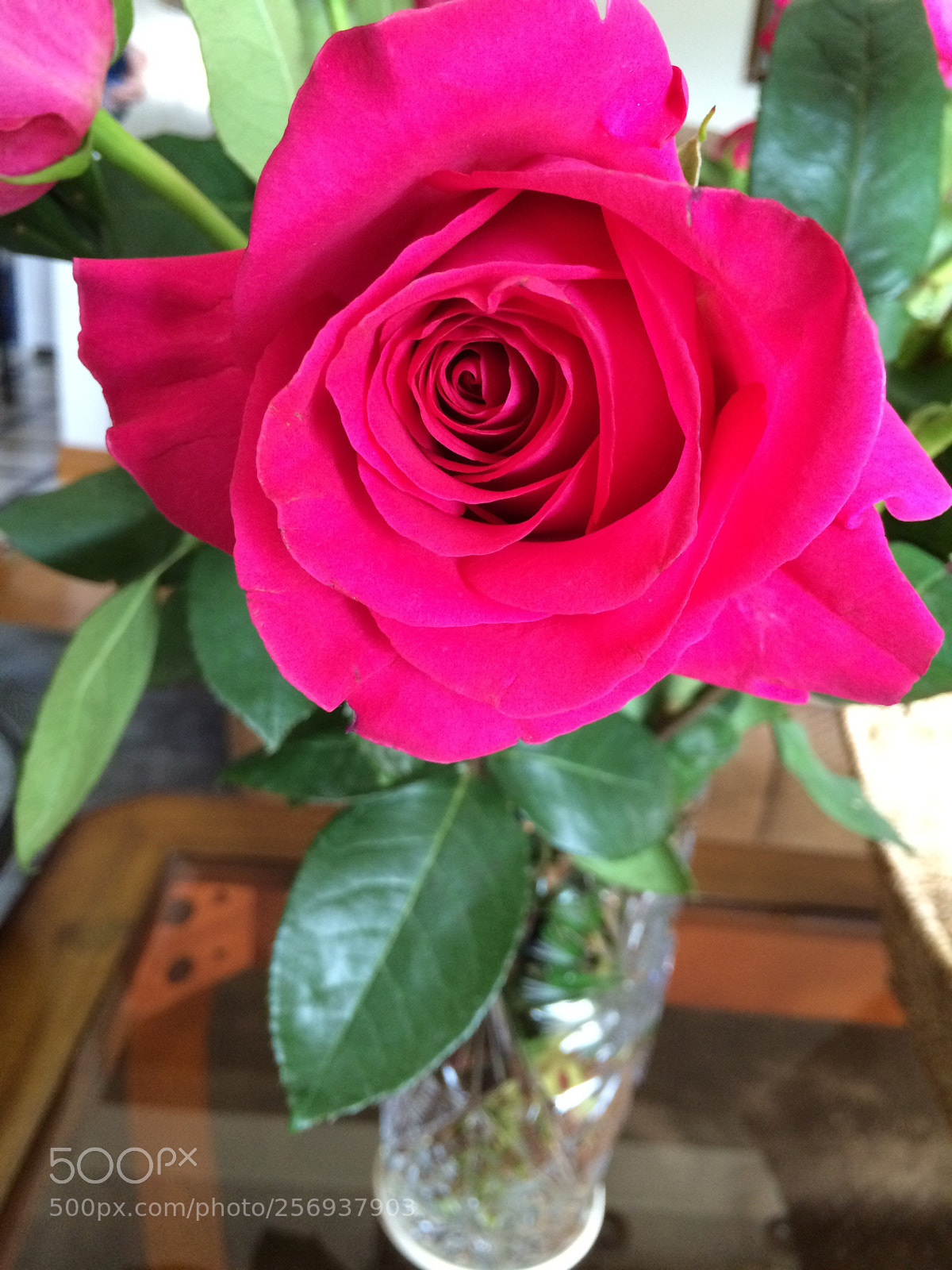 Apple iPhone 5s sample photo. My choice 2 photography