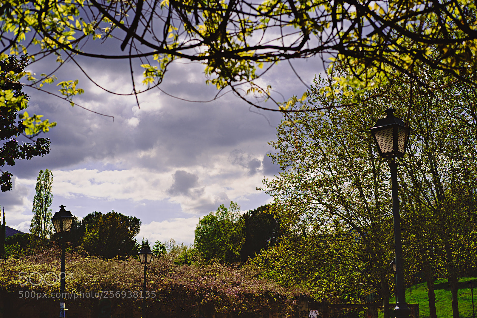 Fujifilm X-Pro1 sample photo. Au printemps photography