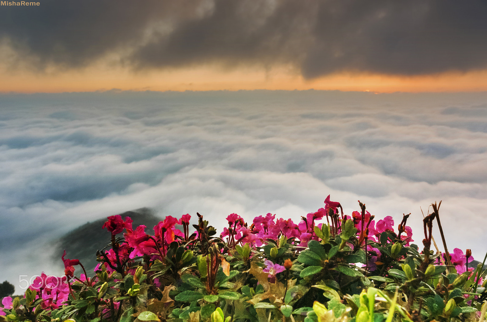Nikon 1 S1 sample photo. Summer in mountains*** photography