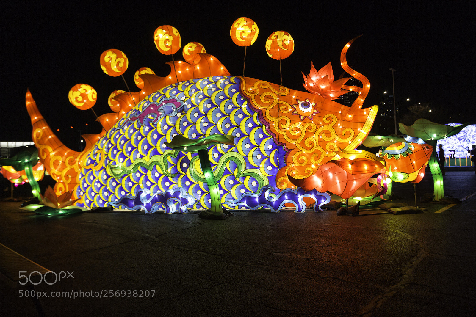 Canon EOS 700D (EOS Rebel T5i / EOS Kiss X7i) sample photo. Big fish photography