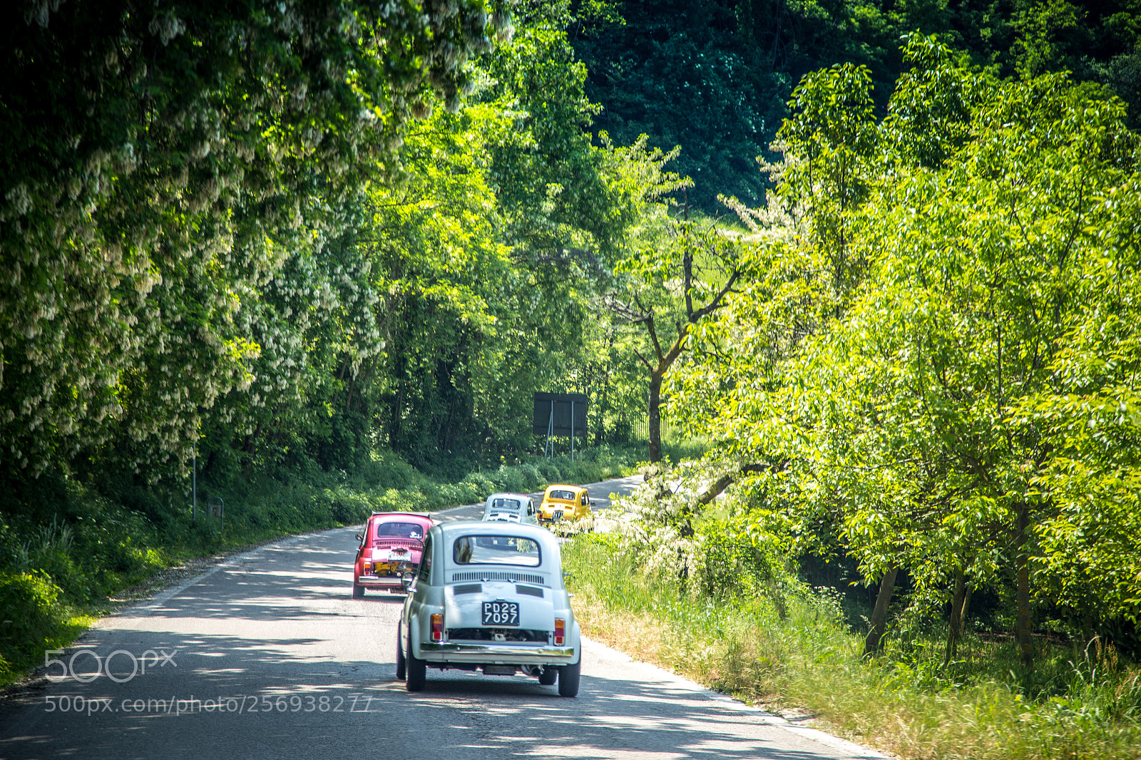 Canon EOS 6D sample photo. Raduno fiat 500 photography