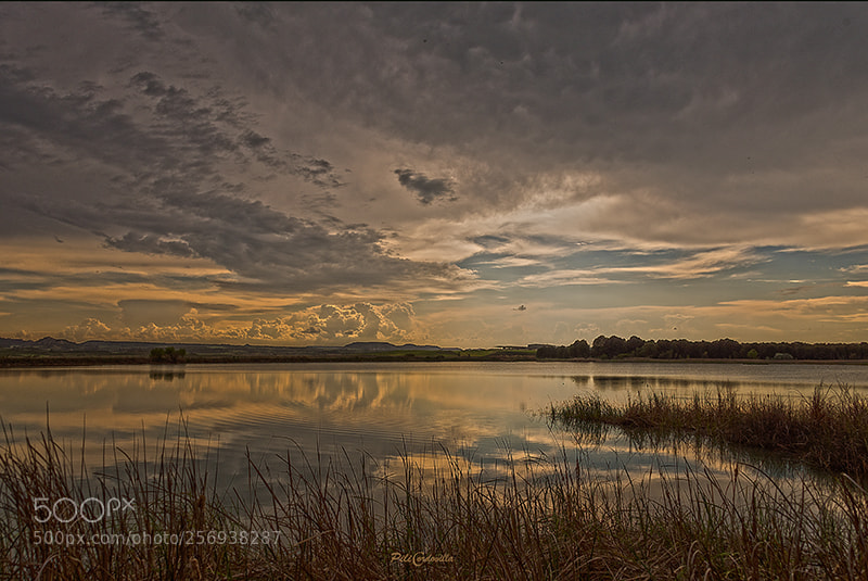 Nikon D750 sample photo. Atardecer en la laguna photography