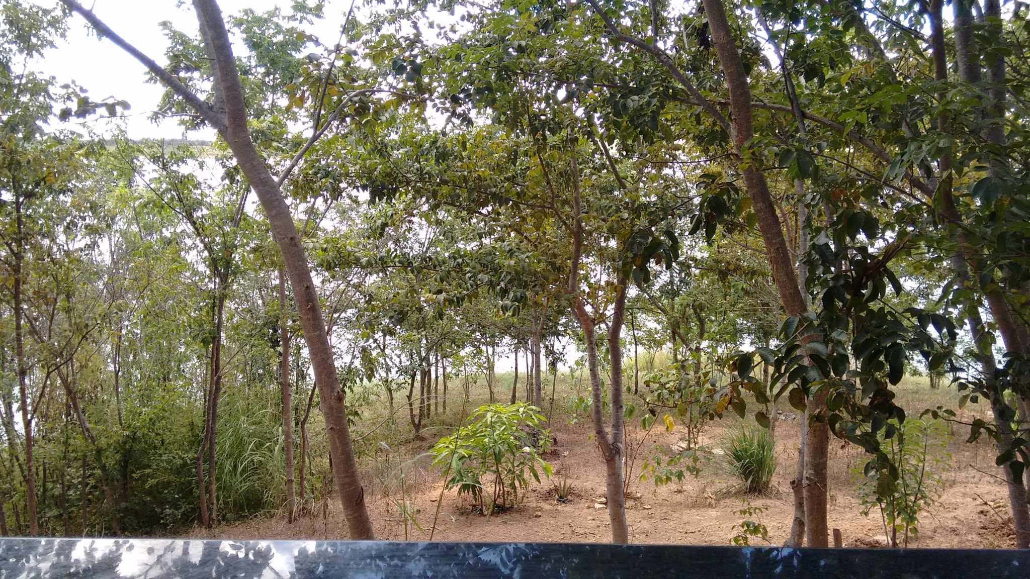 Motorola Moto G (2nd Gen) sample photo. Rancho dos arcanjos () photography