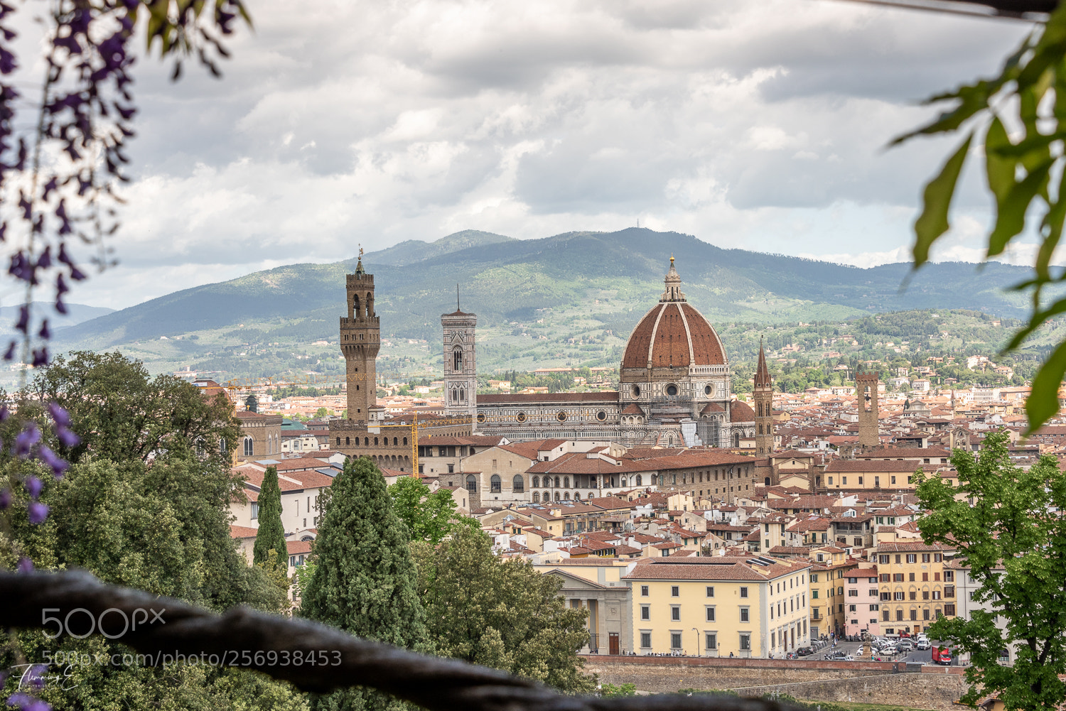 Nikon D810 sample photo. Florence photography