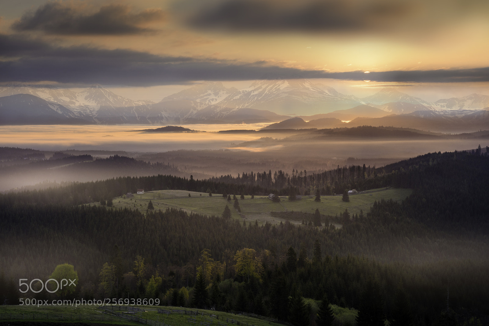 Nikon D500 sample photo. Sunrise tihuta pass photography