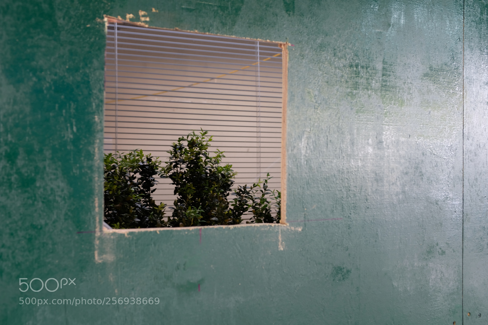 Fujifilm X100F sample photo. Green construction photography