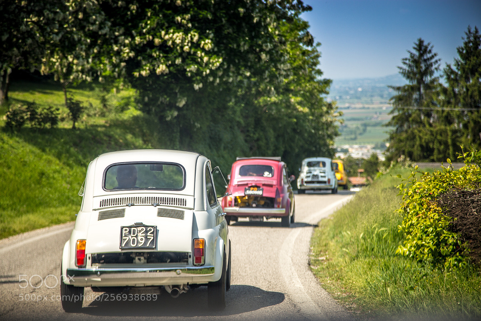 Canon EOS 6D sample photo. Raduno fiat 500 photography