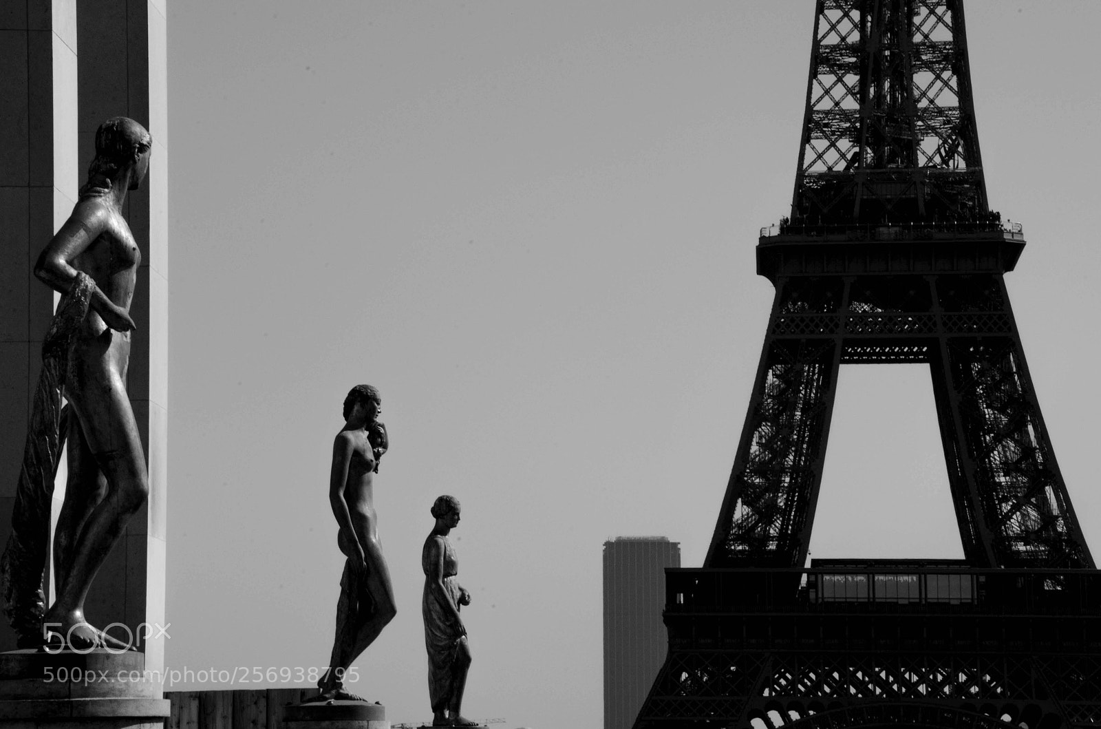 Nikon D7000 sample photo. Evolution photography