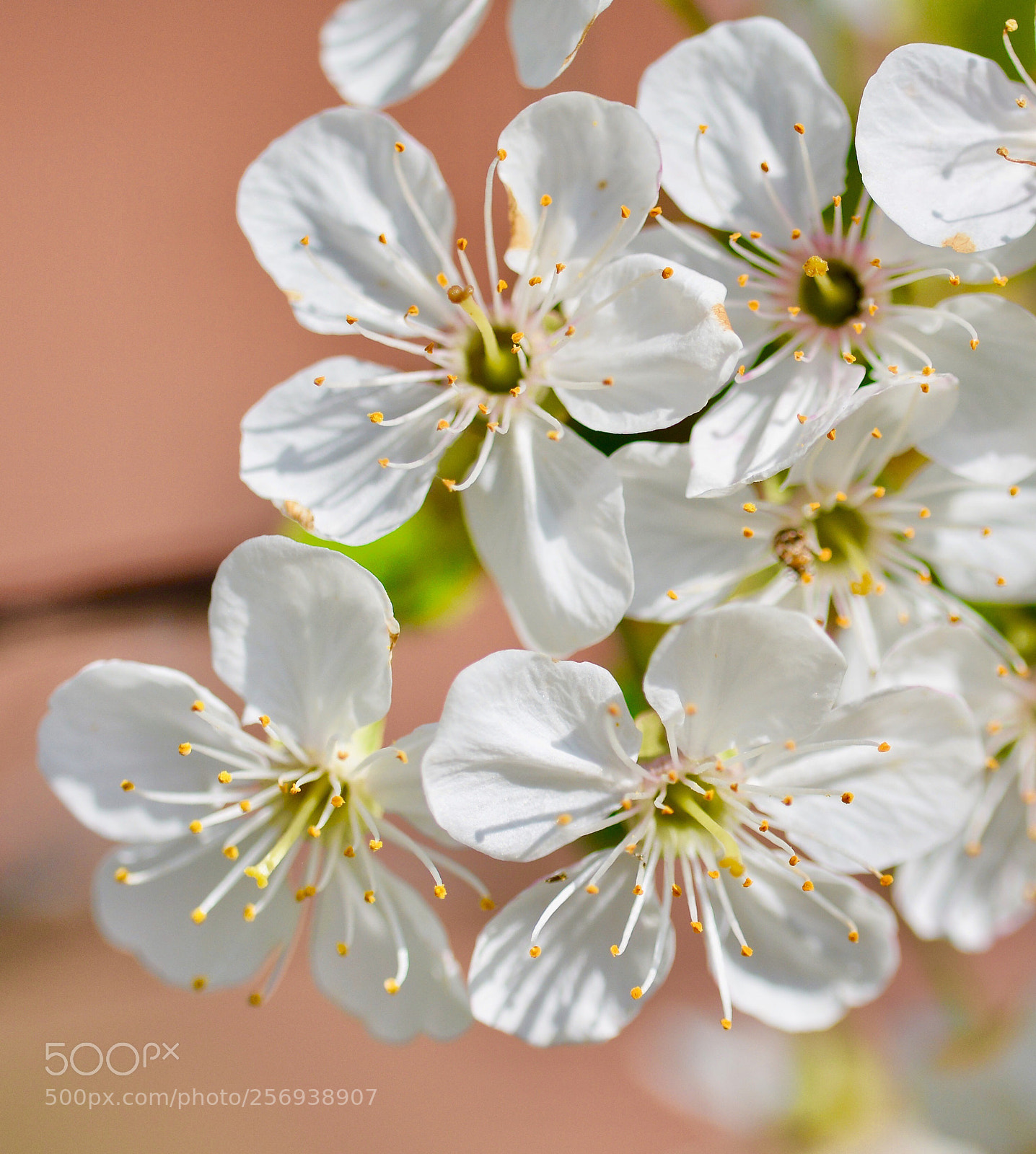Nikon D7100 sample photo. Untitled photography