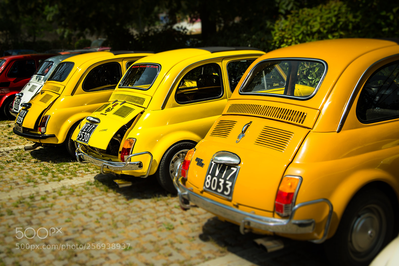 Canon EOS 6D sample photo. Raduno fiat 500 photography