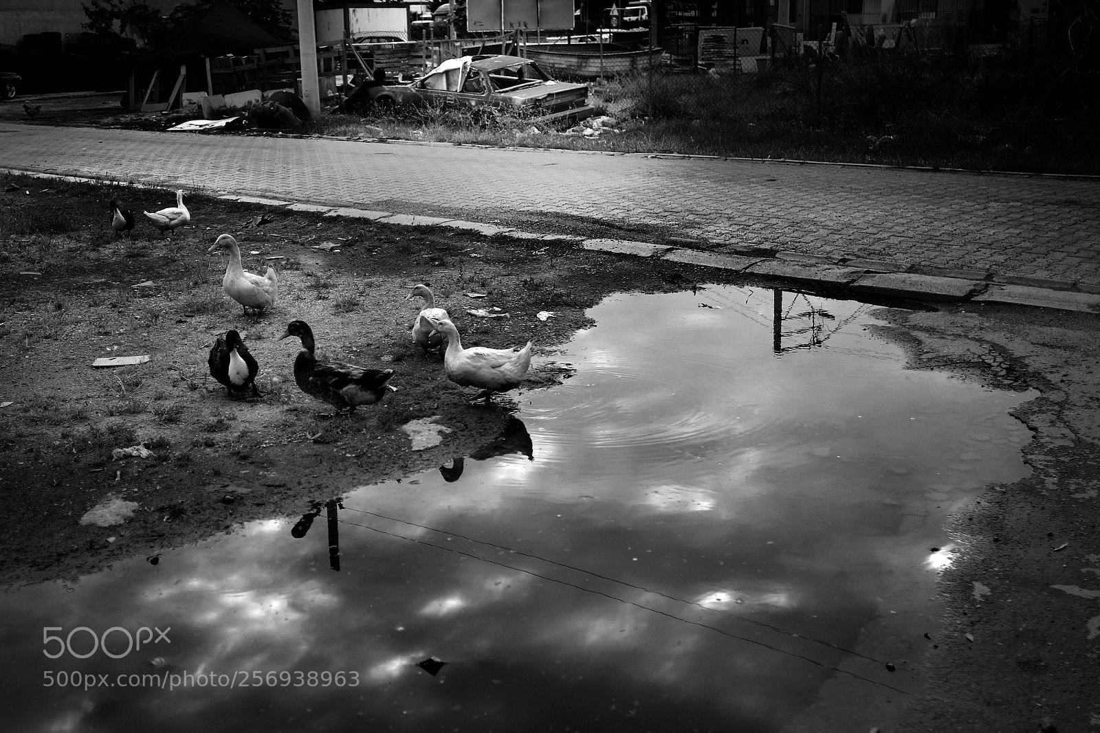 Fujifilm X-E3 sample photo. 155 photography