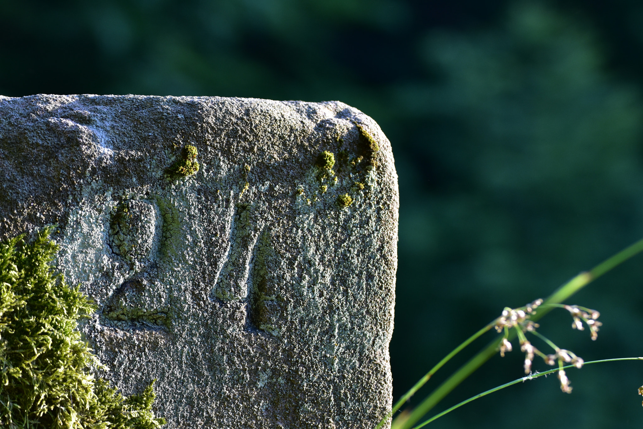 Nikon D7200 sample photo. No. 24 photography