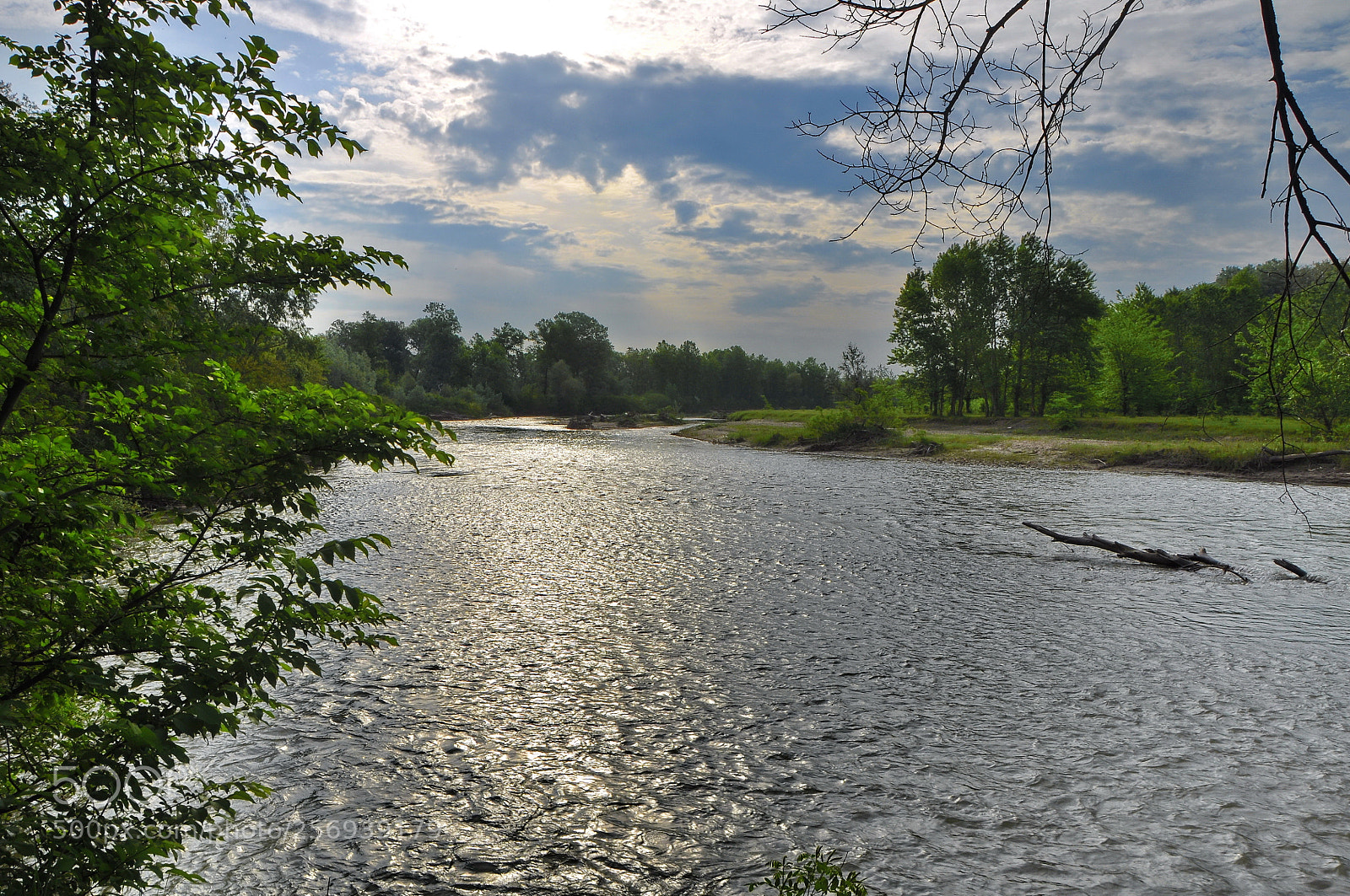 Nikon D90 sample photo. Untitled photography