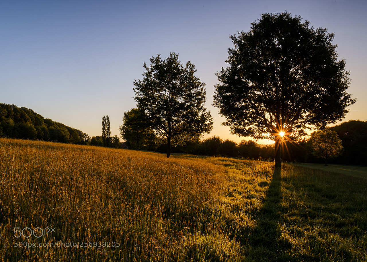 Fujifilm X-T20 sample photo. Sunrise photography