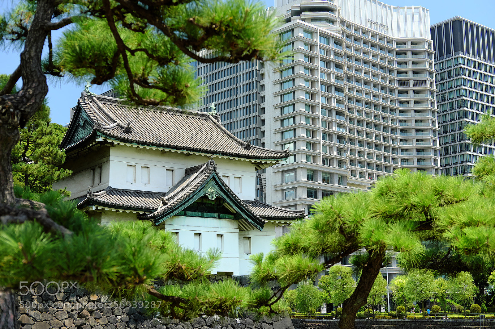 Fujifilm X-T1 sample photo. Эклектика photography