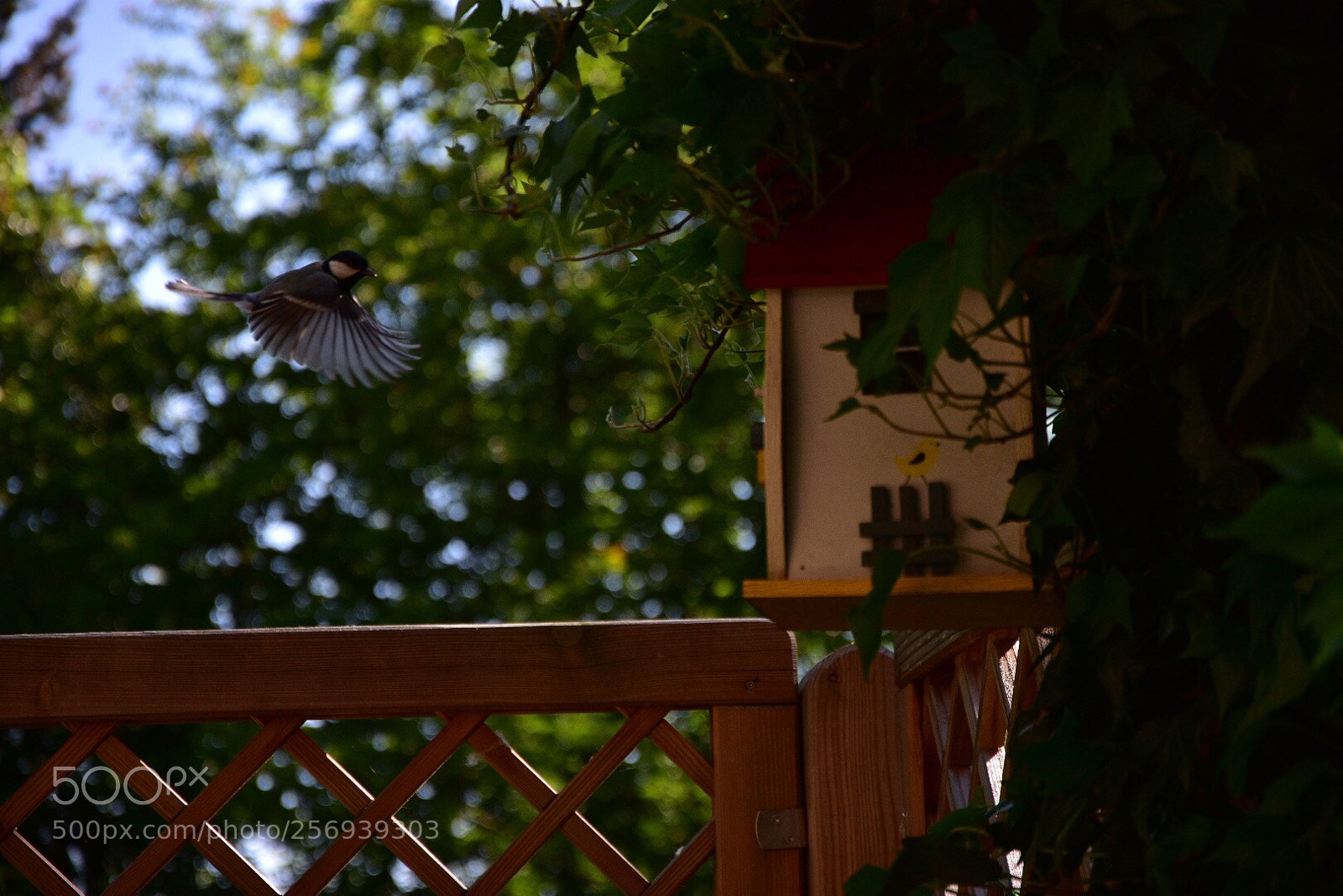 Nikon D7200 sample photo. Arrived at home photography