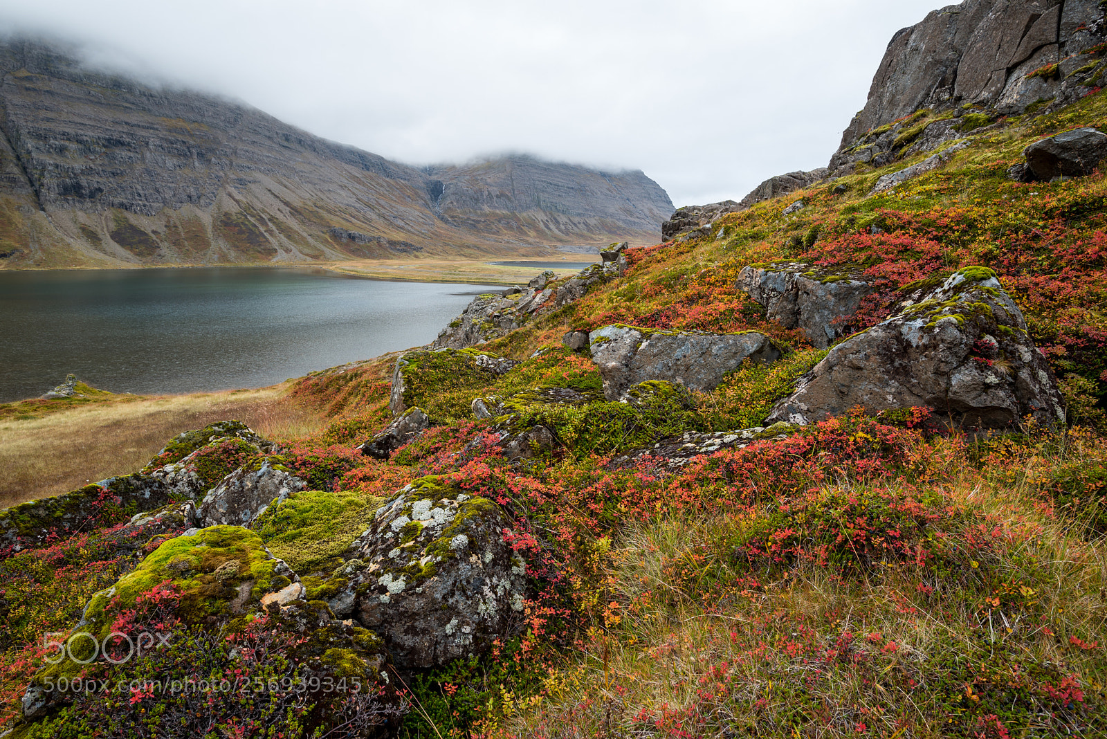 Nikon D750 sample photo. Kaldbaksvík, westfjords, iceland photography